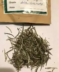 White Tea - Silver Needles