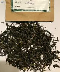 Oolong Tea