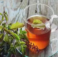 Tulsi Tea