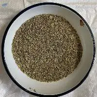 Fennel Seeds