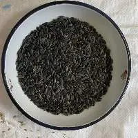 Sunflower Seeds