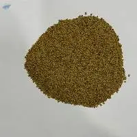 Alfalfa/ Lucerne seeds