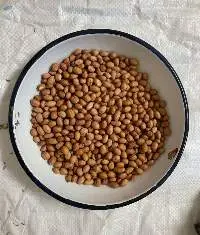Groundnut Seeds/Kernels