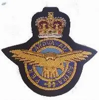 Royal Air Force ( Raf ) Military Badges