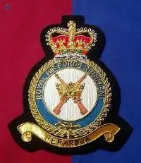 Royal Air Force ( RAF ) Badges