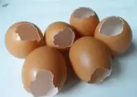 Shell Eggs