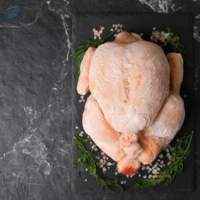 Frozen Chicken