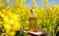 Rapeseed Oil