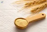 Durum Wheat