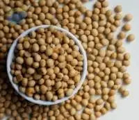 Non Gmo Soybean