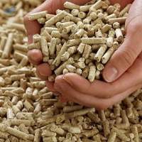 Wood Pellets