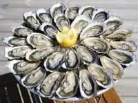 French Fresh Oysters