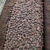 Bilberry