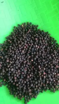 Pepper
