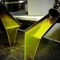 New Extra Virgin Olive Oil