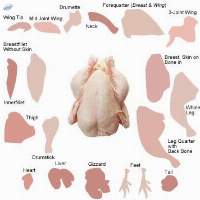 Export Chicken Halal