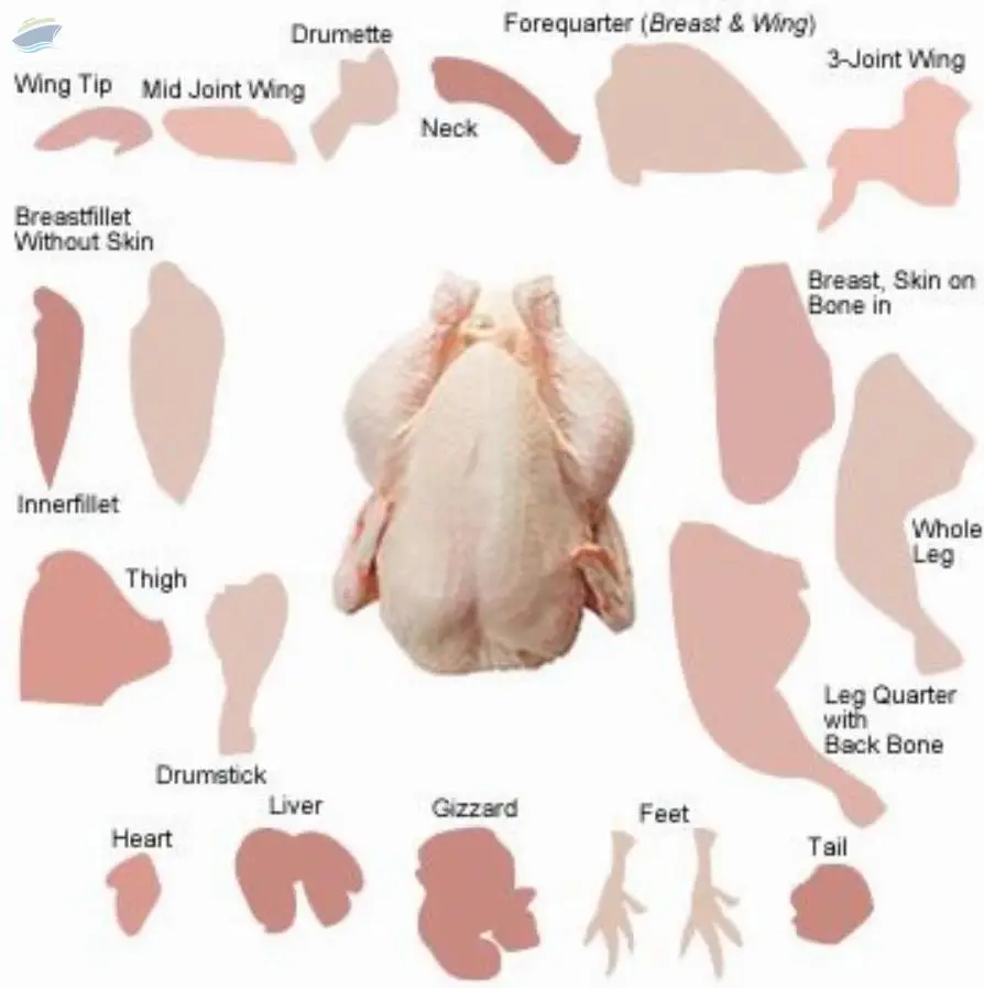 Export Chicken Halal
