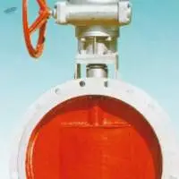 High Performance Sealed Butterfly Valve