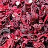 Hibiscus Flower