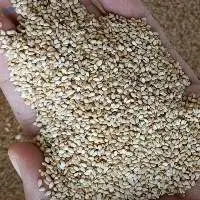 Sesame Seeds