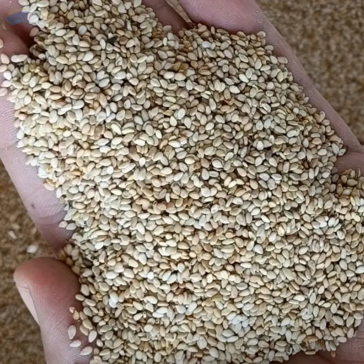 Sesame Seeds
