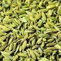 Fennel Seeds