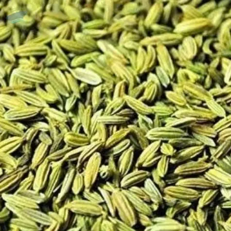 Fennel Seeds