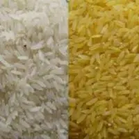 Irri 6 Long Grain Cheaper Rice