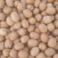 Walnut (Whole)