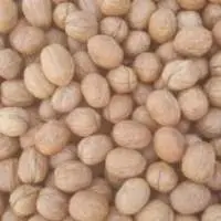 Walnut (Whole)