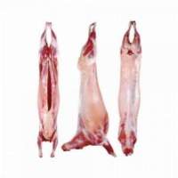 Lamb Meat Halal