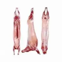 Lamb Meat Halal