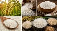 Premium Quality Long Grain White Rice