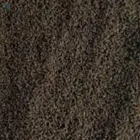 South/Assam Pd, Pd1 Tea