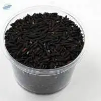 Rice Berry