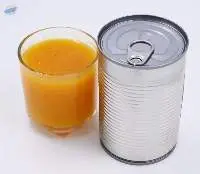 Canned Mango Pulp