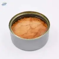 Canned Tuna Chunk in Oil