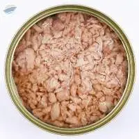 Canned Tuna Flakes in Oil