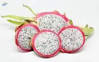 Frozen Dragon Fruit
