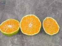 Frozen Calamansi (Whole/Half cut)