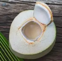Coconut