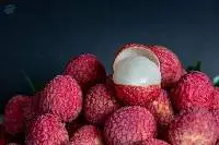 Lychee