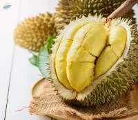 Durian