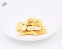 Freeze dried Jackfruits