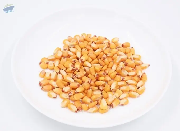 Dried yellow corn
