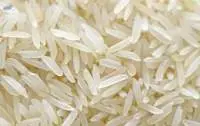 1509 White/Sella Rice