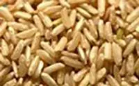 Irri-6 Brown Rice