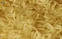 PK-386 Brown Rice