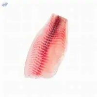Frozen Pangasius Fillet