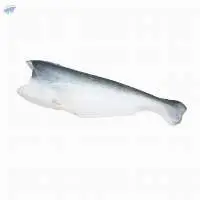 Export-Grade Frozen Pangasius HGT